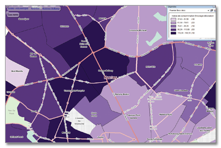 DIY & Decoration consumption index at IRIS level